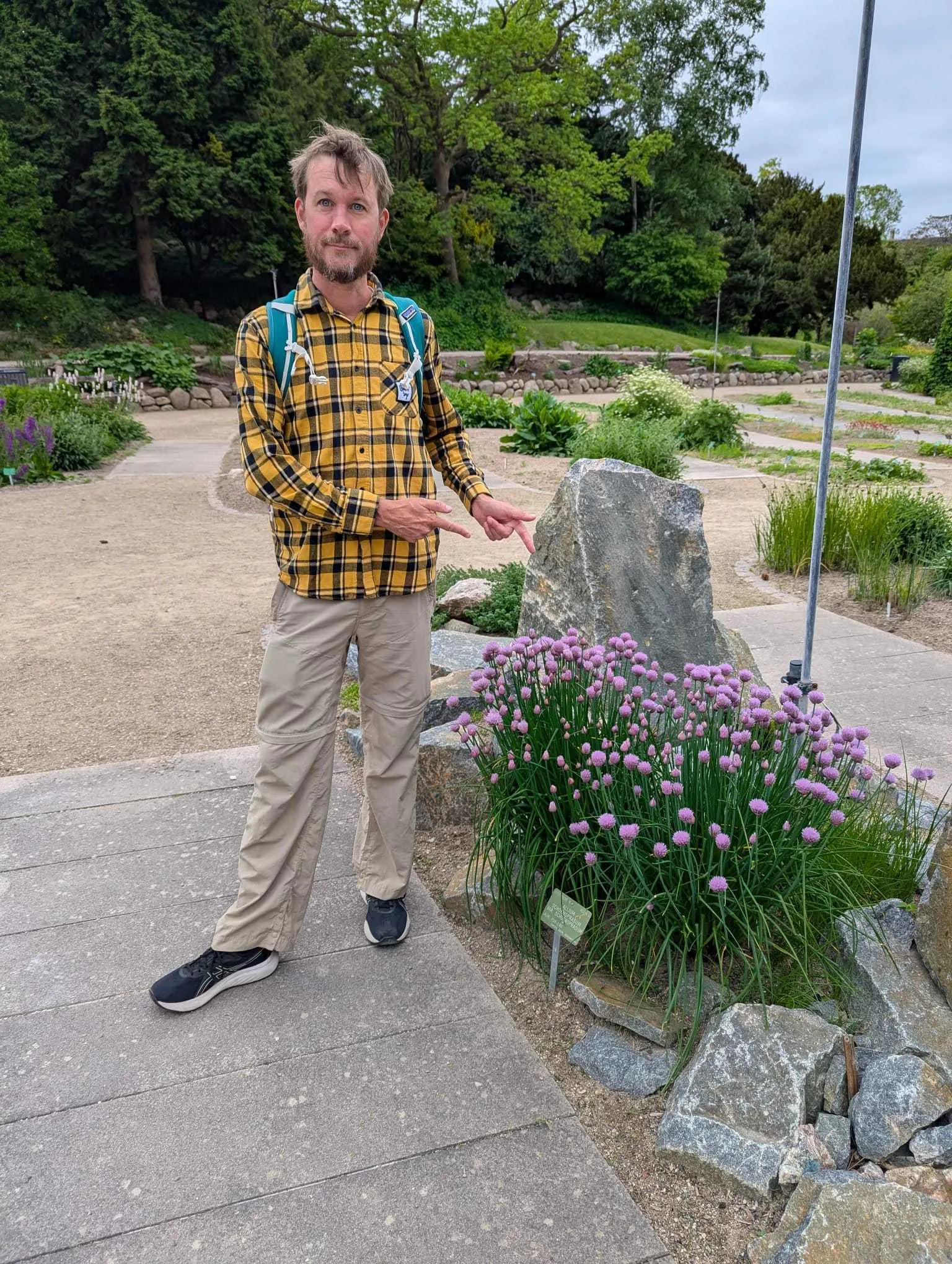 Stu spotting Allium schoenoprasum in the botanic gardens